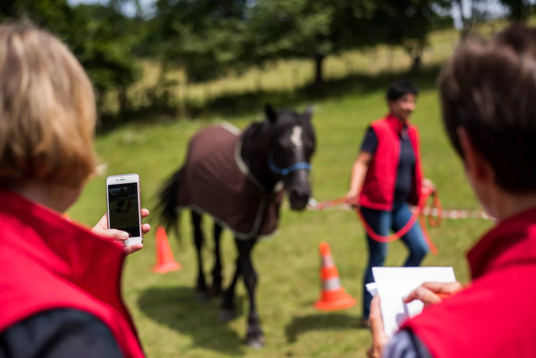Jemand macht ein Foto vom Jungen beim Pferdecoaching